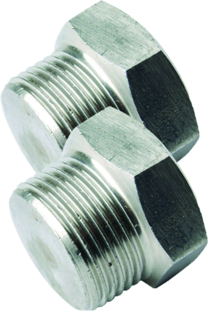 Remeha Stopfen (2 Stück) G-3Zoll AG für Centra 750/1000 D