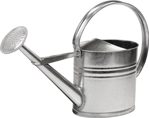 Gießkanne 10l silber MET verz. Gießkanne 10l silber MET verz.