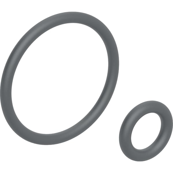 Geberit O-Ring für Duscharm für Geberit AquaClean Sela (bis Bj2018)/4000