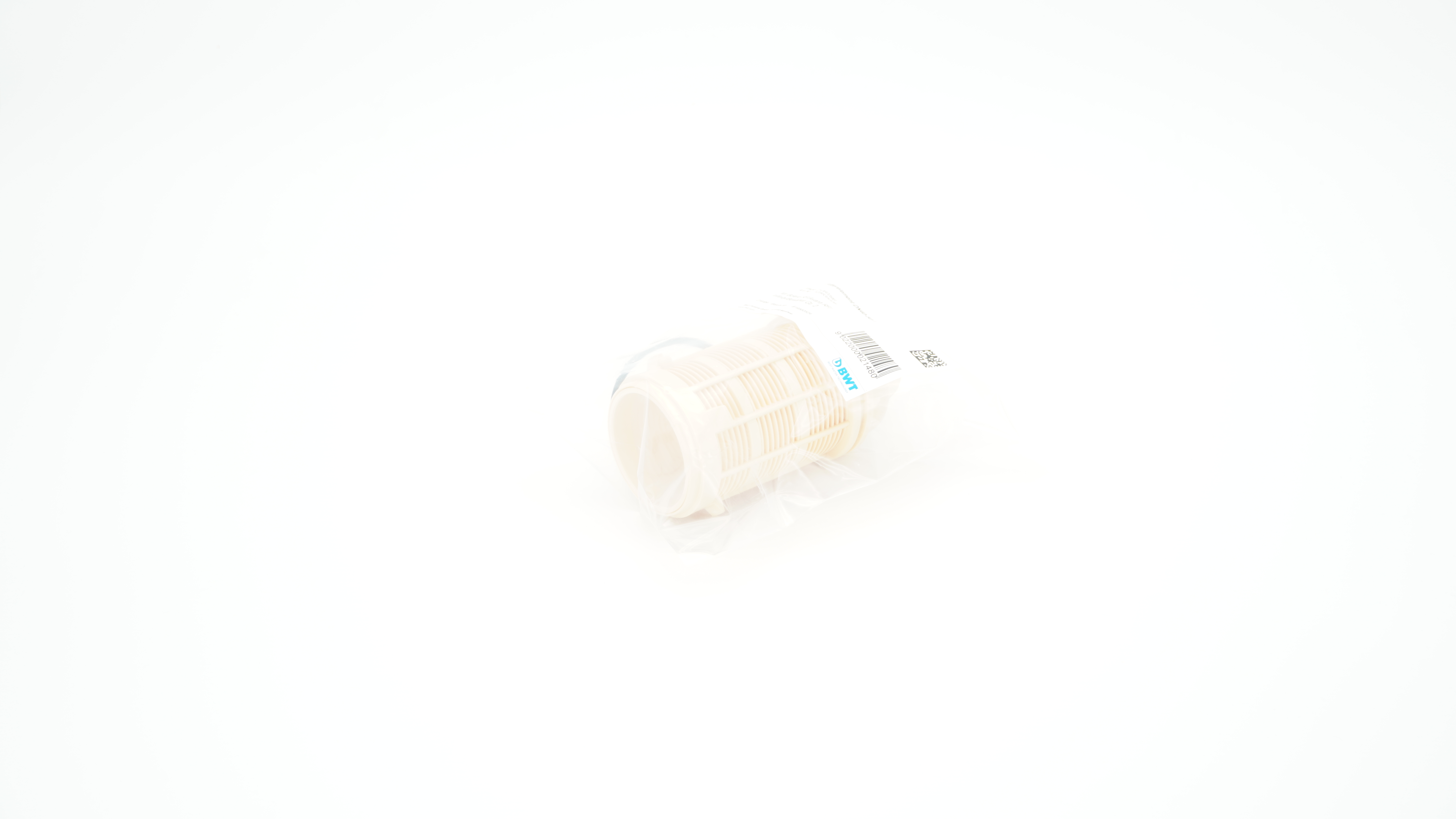BWT Filterelement DN40-50 DVGW