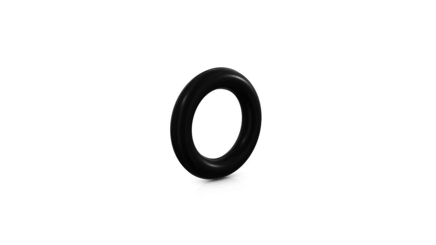 CR Übergangsrollring CUR 100 SML/KG (156-162mm auf 110mm), 0,5 bar, D.: 32mm CR Übergangsrollring CUR 100 SML/KG (156-162mm auf 110mm), 0,5 bar, D.: 32mm