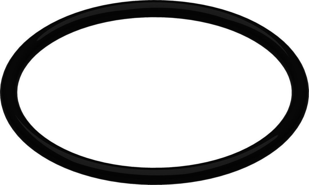 BOSCH Ersatzteil TTNR: 87186681390 O-Ring (5x)