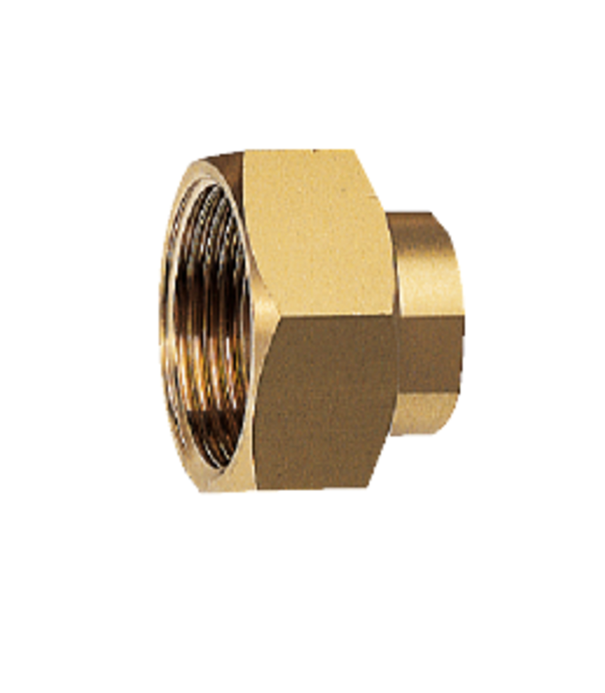 BWT HydroMODUL Anschlussverschr. 1/2" LF Reduktionsverschraubung IG, HACCP, LF