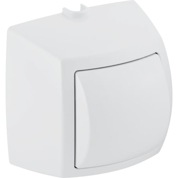 Geberit Handdrücker AP für 1-Mengen-Sp. zu WC-Strg. pneumatischer Sp-Ausl.chrom Geberit Handdrücker AP für 1-Mengen-Sp. zu WC-Strg. pneumatischer Sp-Ausl.chrom
