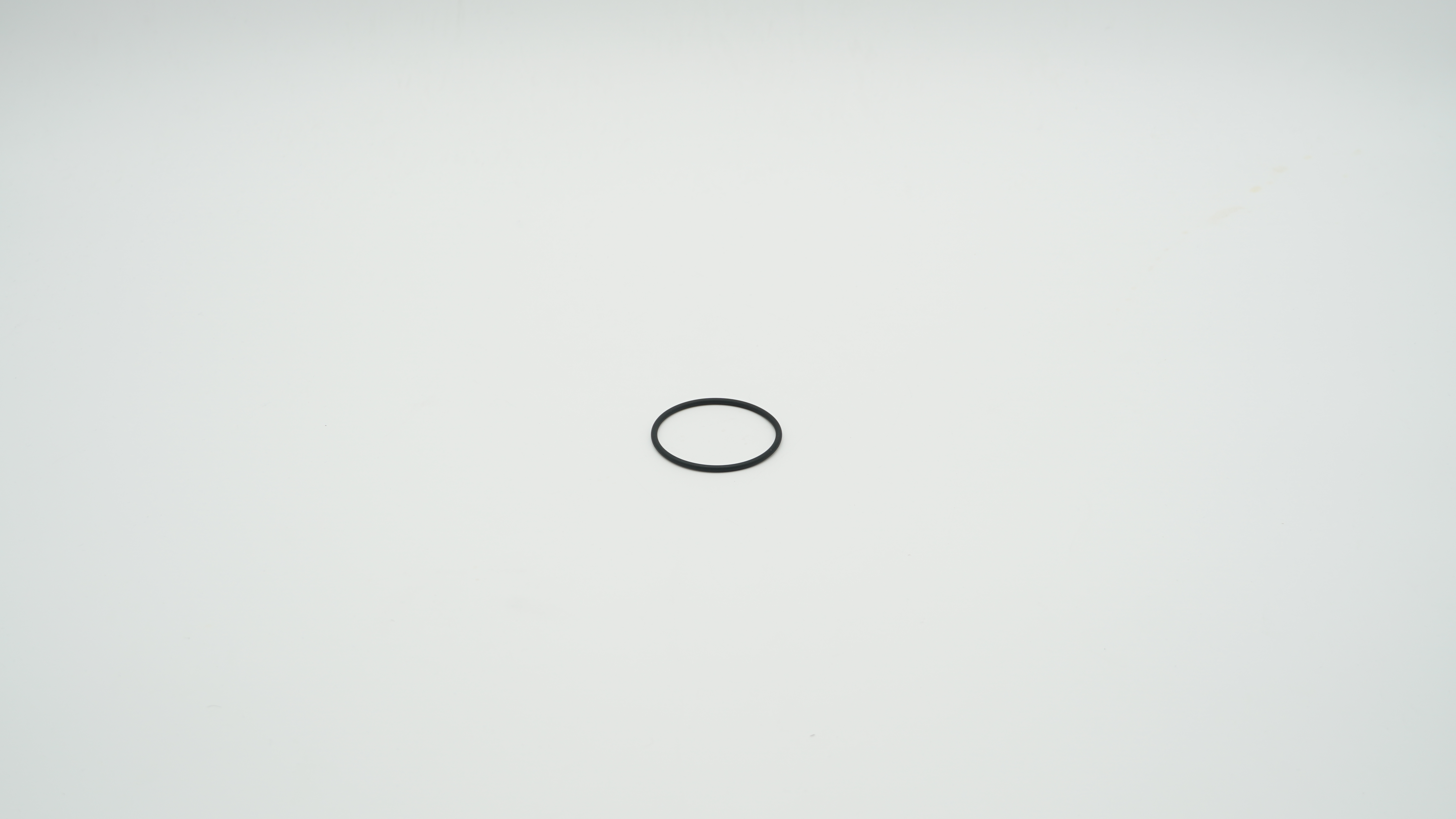 BWT O-Ring für Filtertasse E1