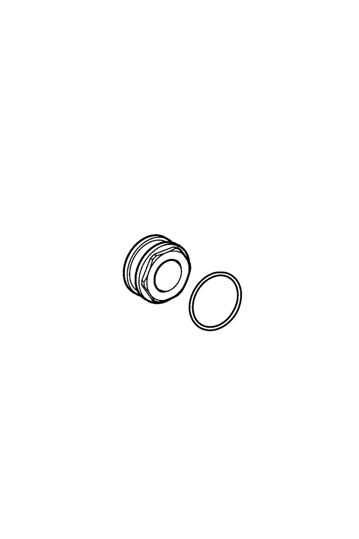 Hansa Nuss HANSA 59914012 M32x1, SW30 Hansa Nuss HANSA 59914012 M32x1, SW30