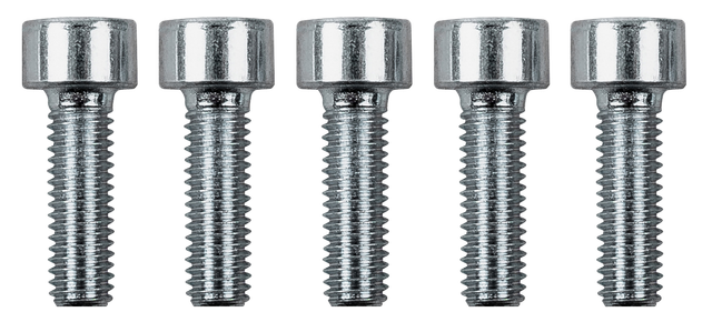 Wolf Schrauben M5x16 für HKP und WWT für CGG