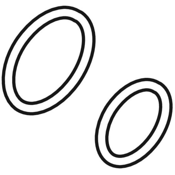 Geberit O-Ring für Duscharm für Geberit AquaClean Sela (bis Bj2018)/4000