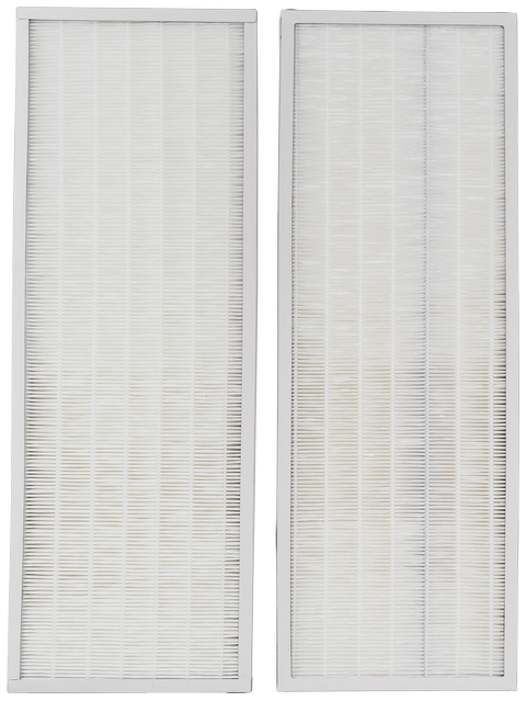 Wolf Pollenfilter-Set ePM1 50% 522x184mm, 2 Stück, f. CWL-300/400 Exc. Wolf Pollenfilter-Set ePM1 50% 522x184mm, 2 Stück, f. CWL-300/400 Exc.