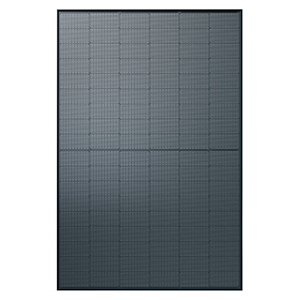 12.105 Set 10x AXIblackbiperfect GL 450 AC-450TGBL, SE5000H-RW000BEN4 4,50kWp