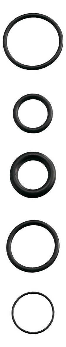 Haas Gummi-O-Ringe 19x2,5mm Nr.9308
