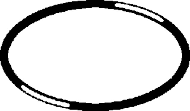 Viega O-Ring 9958.1 in 19x1,6mm Gummi schwarz