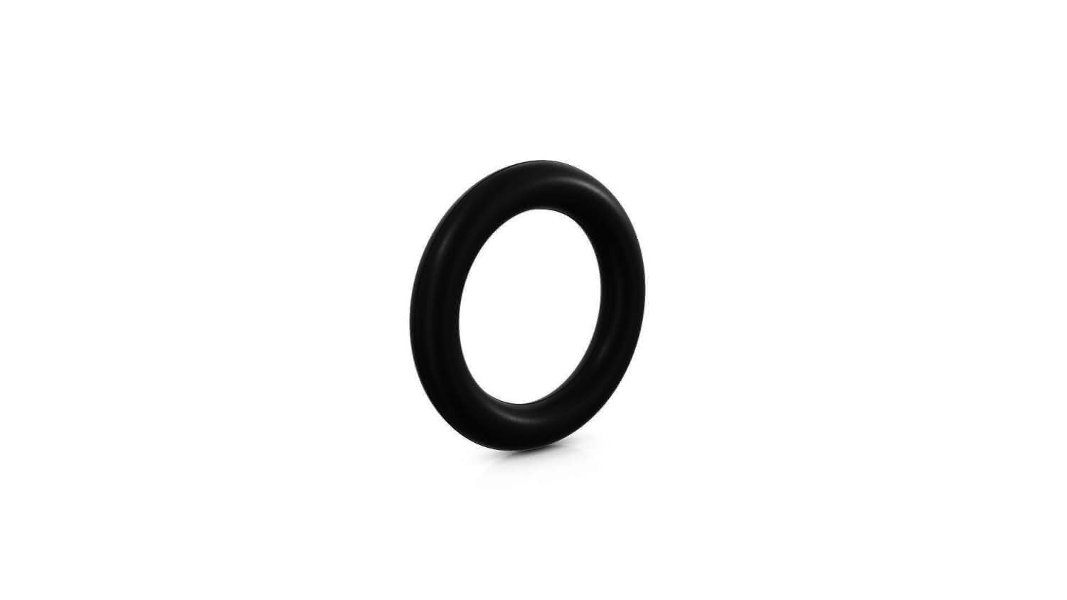 CR Übergangsrollring CUR 150 SML/KG/FZ (214-222mm auf 160mm), 0,5 bar, D.: 38mm CR Übergangsrollring CUR 150 SML/KG/FZ (214-222mm auf 160mm), 0,5 bar, D.: 38mm
