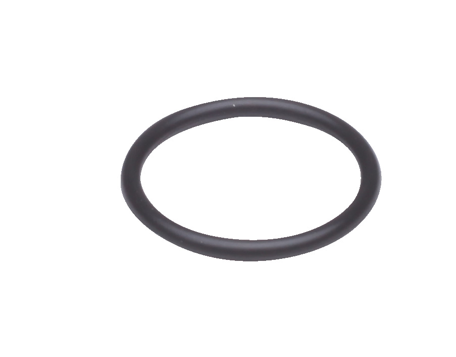 Danfoss O-Ring für RLV-KS