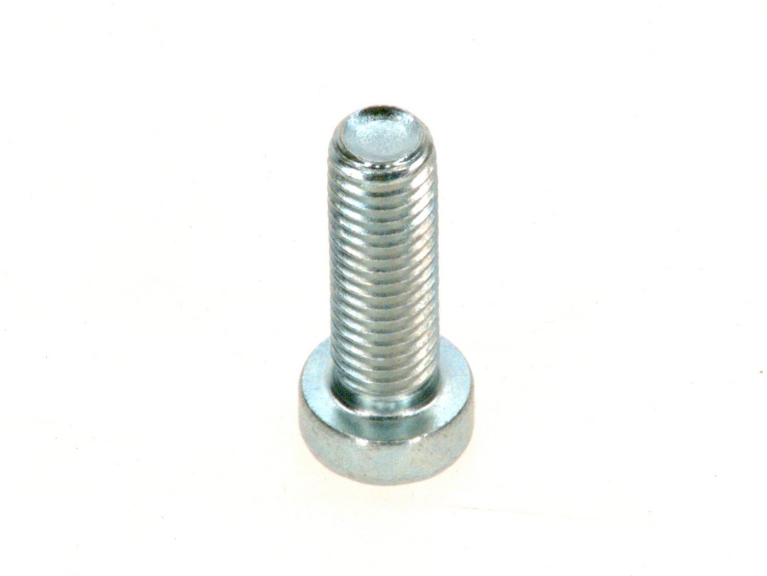 BOSCH Ersatzteil TTNR: 8718584683 Zyl.-Schr. DIN7984 M8x25 8.8 A3K (2x) BOSCH Ersatzteil TTNR: 8718584683 Zyl.-Schr. DIN7984 M8x25 8.8 A3K (2x)