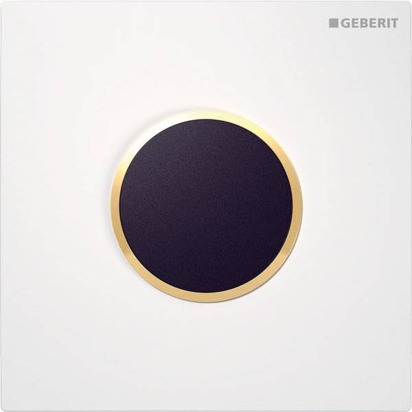 Geberit Typ 10 Abdeckplatte für UR-Strg. IR rund, weiß / vergoldet
