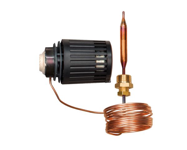 Flamco Thermostatisches Element RAVK 25-65 Grad C