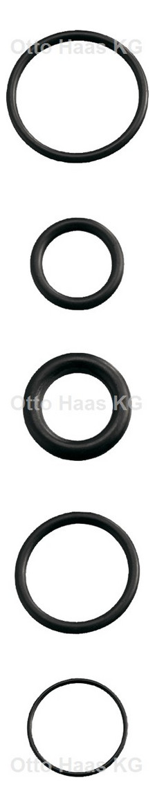 Haas Gummi-O-Ringe 19x2,5mm Nr.9308