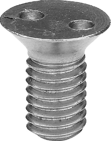 Viega Senkschraube 4933.8 in M5 x 10mm Chromnickelstahl