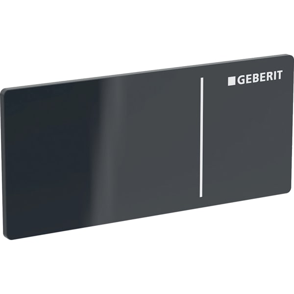 Geberit Typ 70 Fernbetätigung schwarz