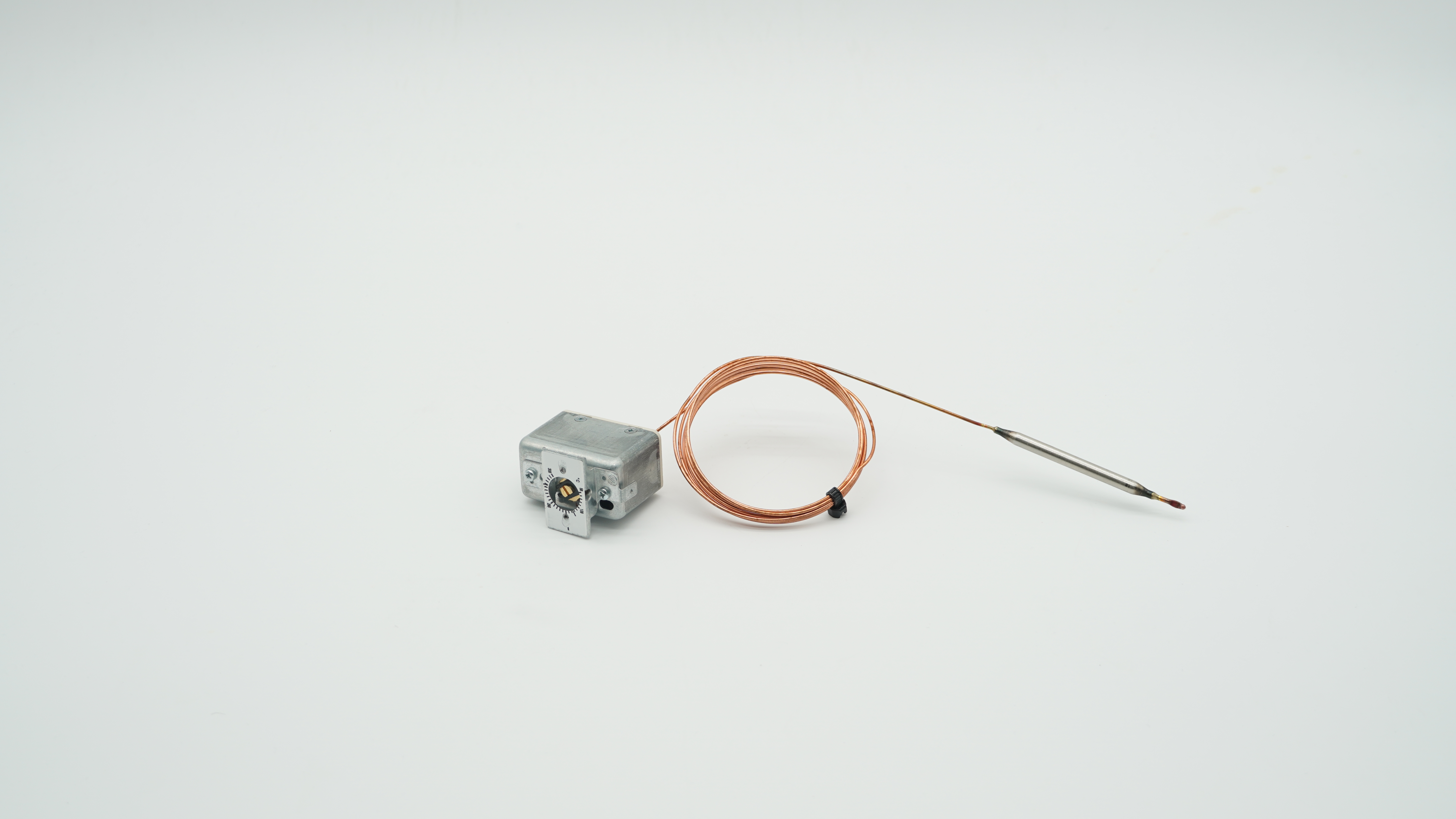 BWT TEMPERATURWÄCHTER +50 - +300 GradC