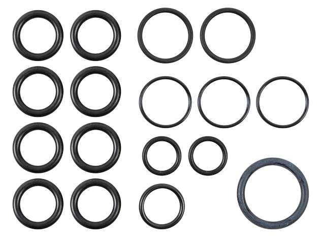 Wolf O-Ring Set für CAT-2