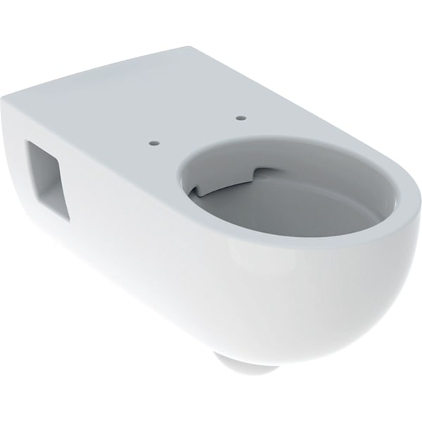 Geberit Renova Comfort Wand-WC Tiefspüler teilgeschlossene Form Rimfree, weiß Tect