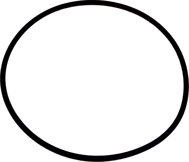 Wolf O-Ring 132 x 4 Viton für COB