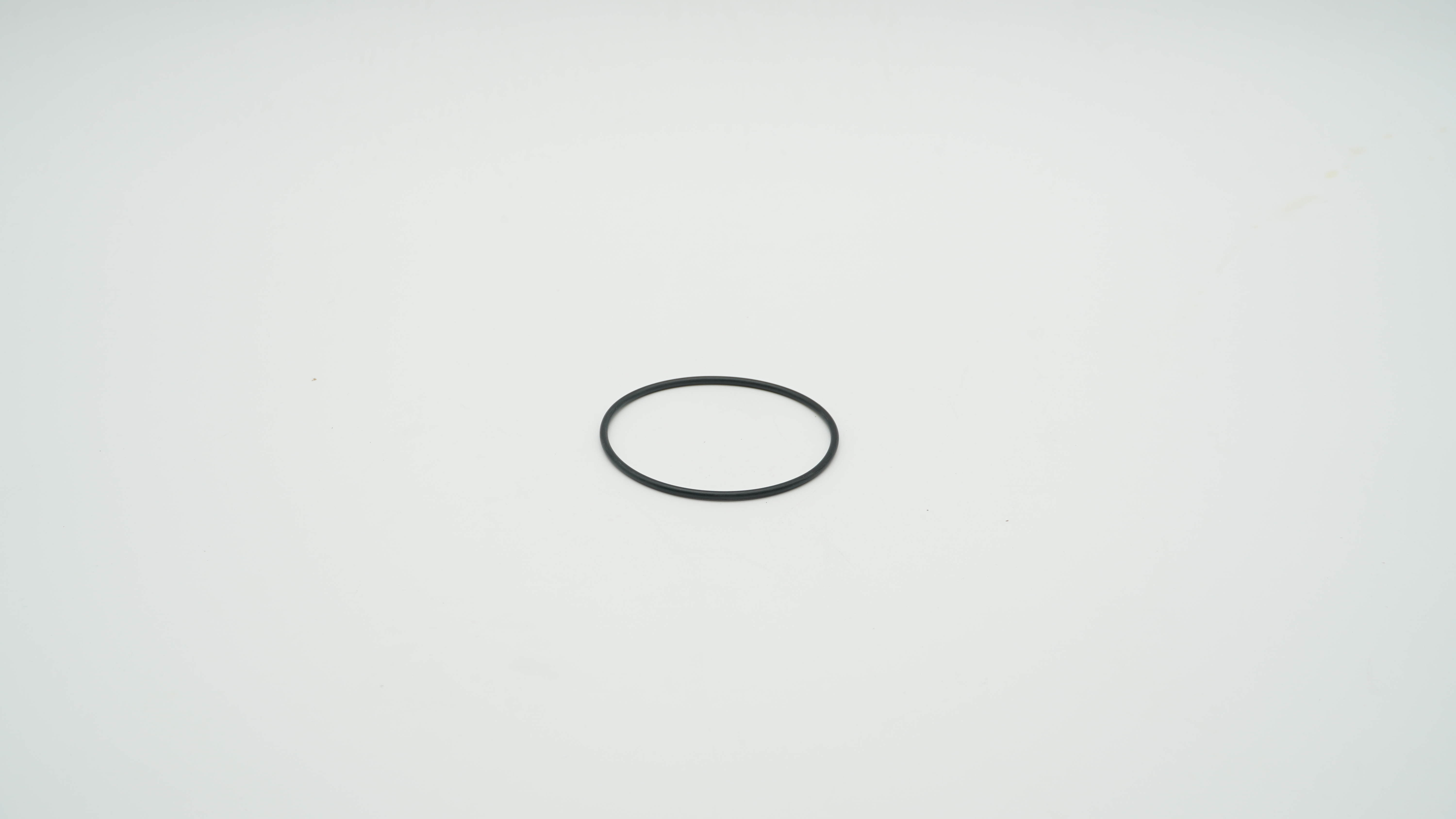 BWT O-Ring f.Aktivkohlefilter DN20