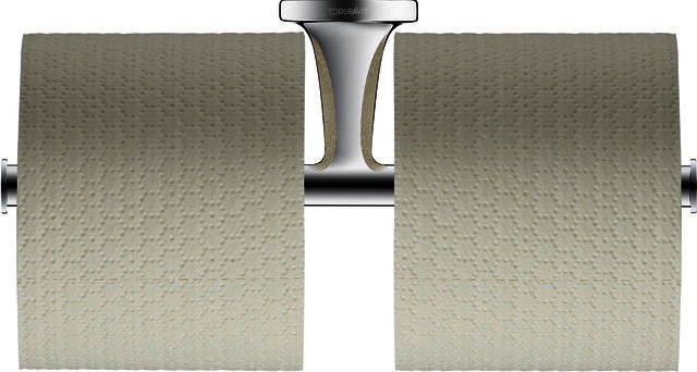 DU Starck T Papierrollenhalter, Chrom, 255x76x50