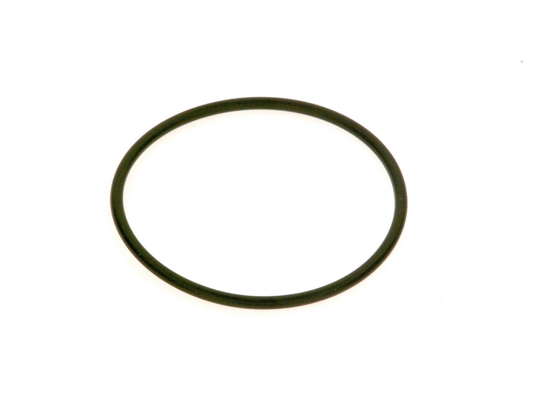 BOSCH Ersatzteil TTNR: 7736700104 O-Ring Askoll (5x)