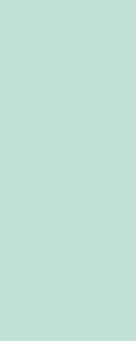 DS WV 11 mm PanElle 1000x2500 224: Mint DS WV 11 mm PanElle 1000x2500 224: Mint