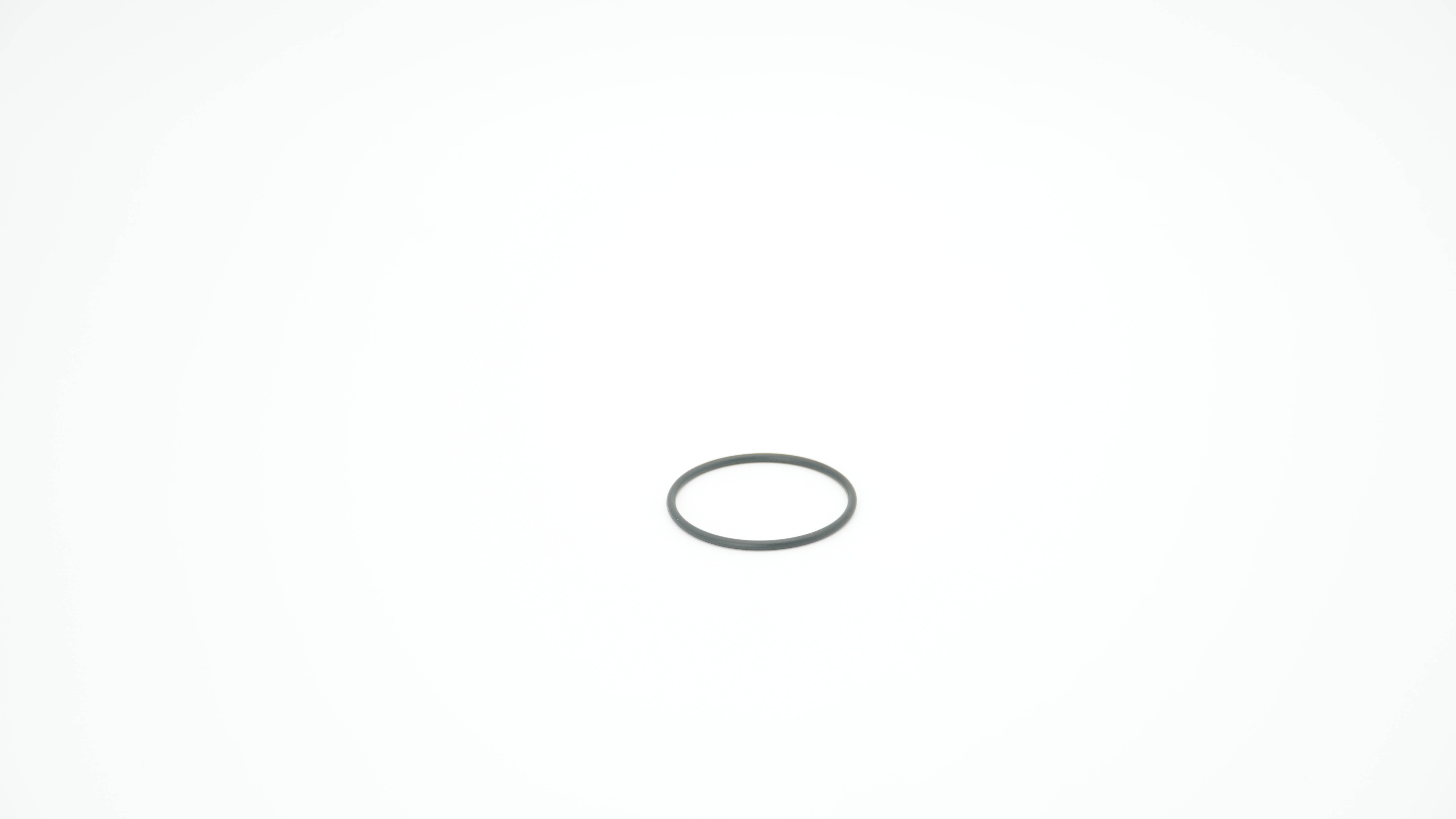 BWT O-RING EP70 66x3,8 KTW