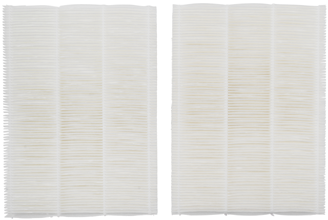 Wolf Pollenfilter-Set ePM1 50% 234x166mm, 2 Stück, f. CWL-F/T-300 Exc. Wolf Pollenfilter-Set ePM1 50% 234x166mm, 2 Stück, f. CWL-F/T-300 Exc.